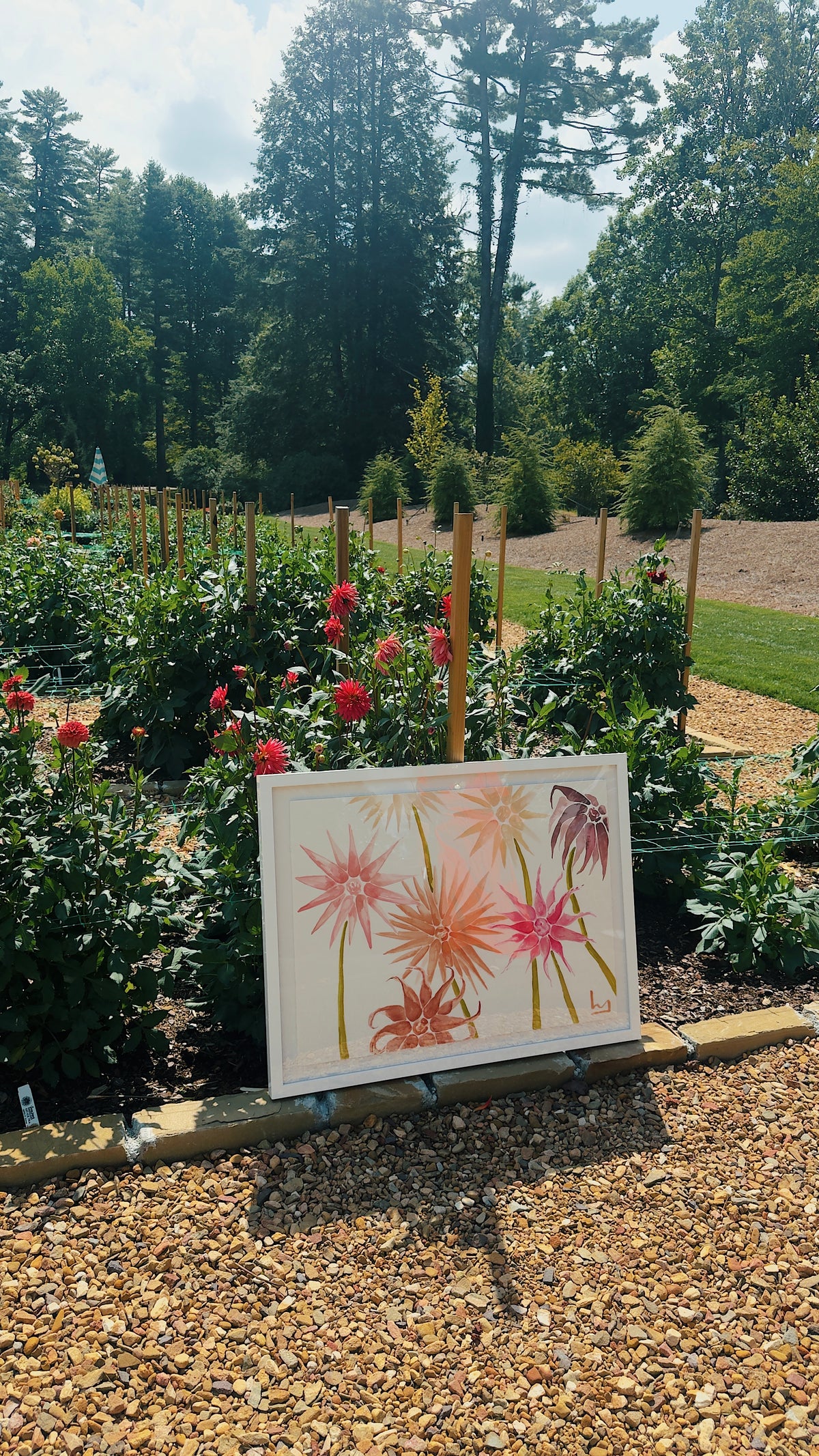 “A Look into the Garden”