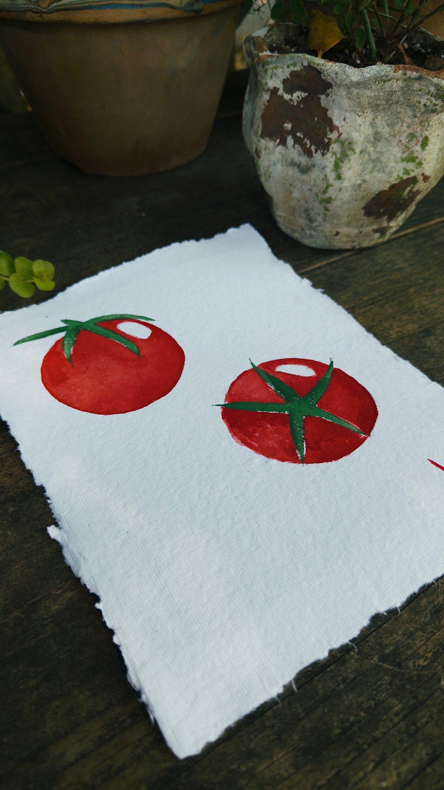 Tomatoes II · 11” x 9"