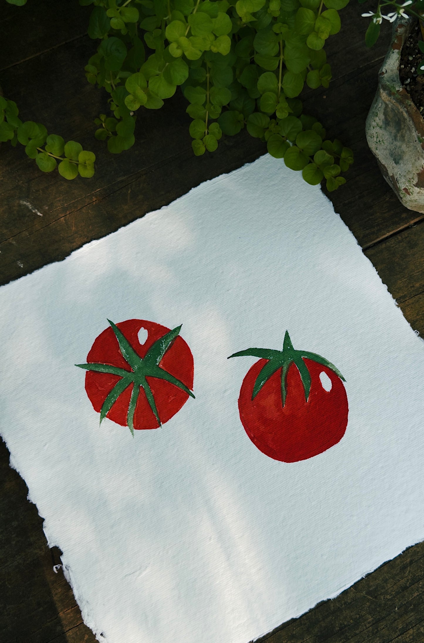 Tomatoes VI · 12” x 12"