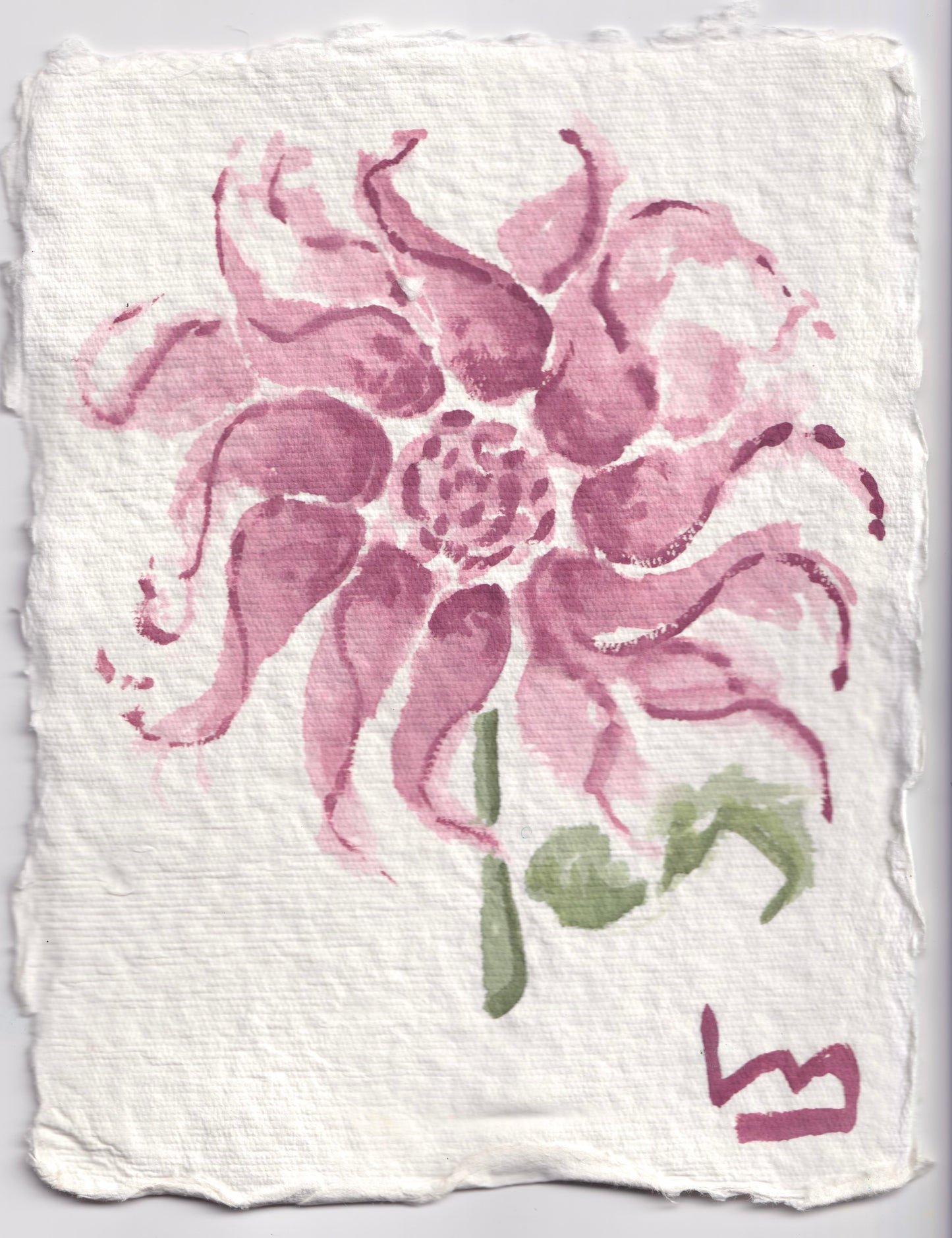 Dahlias Set I