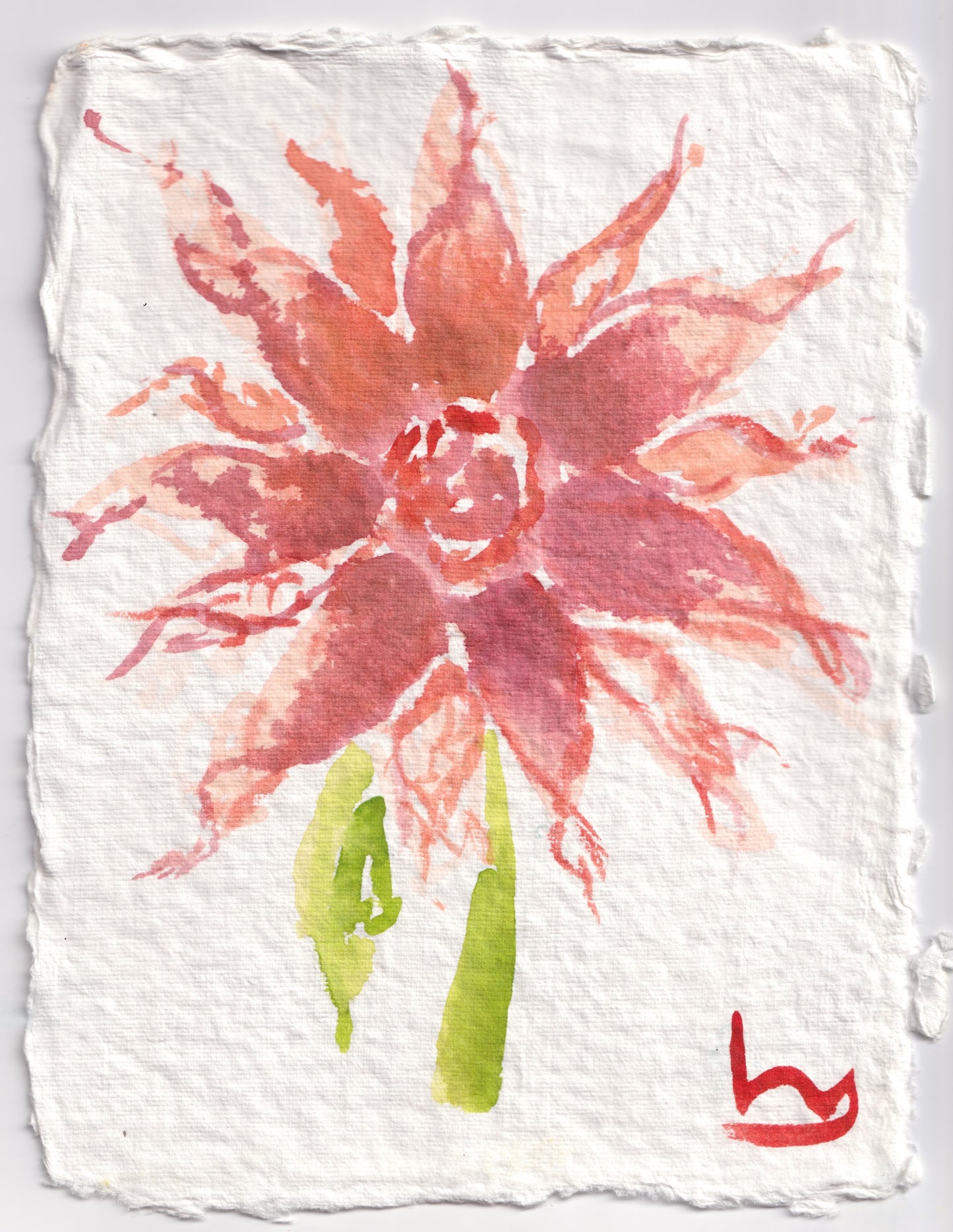 Dahlias Set I