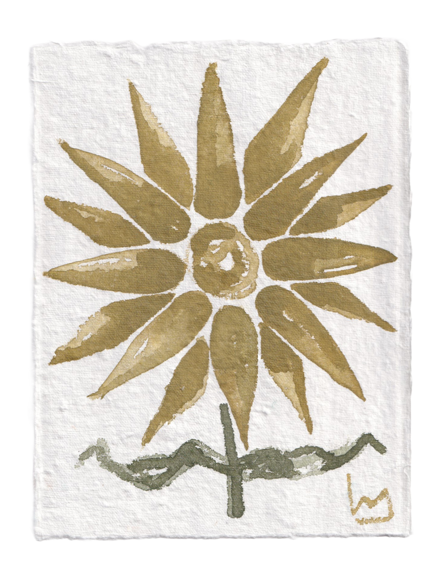 "Colors of Cashiers"