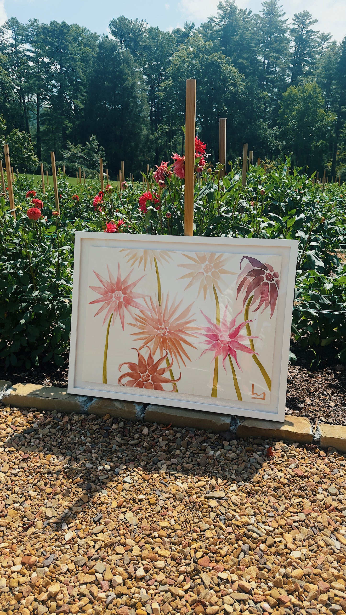 “A Look into the Garden”