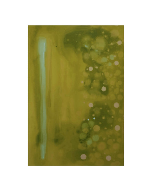 “Return to Mossy & Flossy”