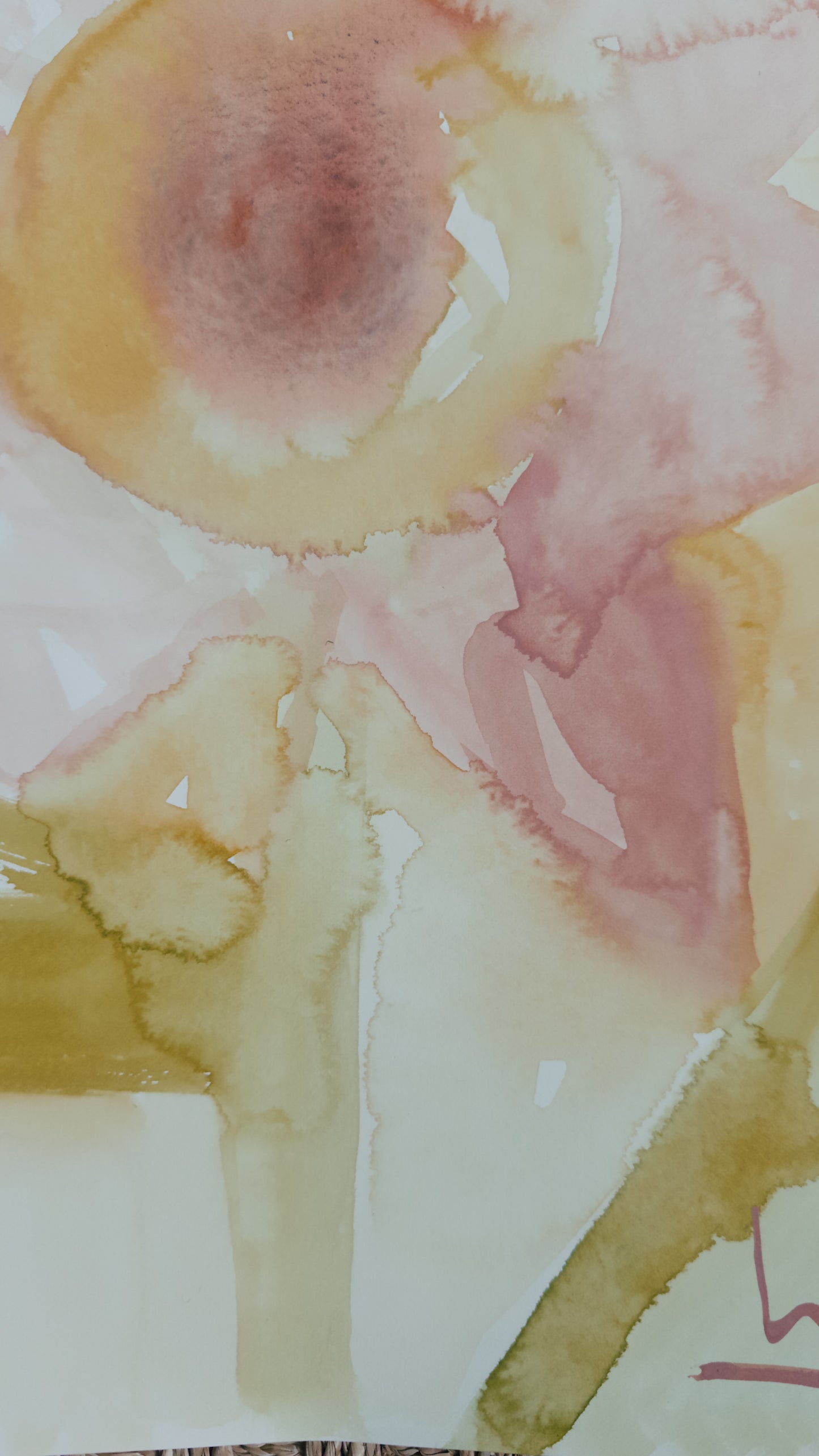 Perfect Peach • 14” x 10.5”