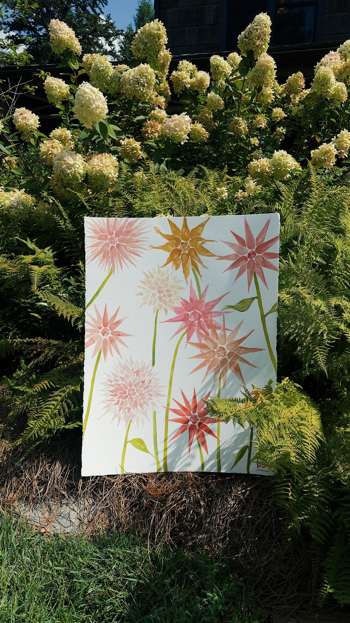 “Dancing Dahlias”