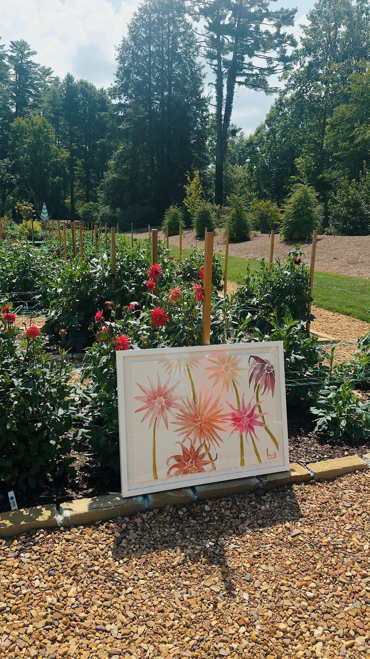 “A Look into the Garden”
