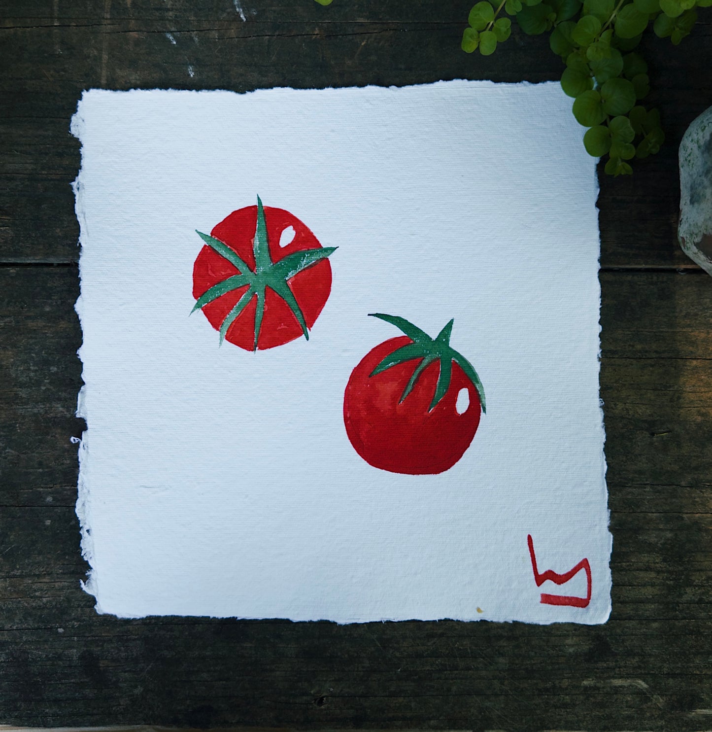 Tomatoes VI · 12” x 12"