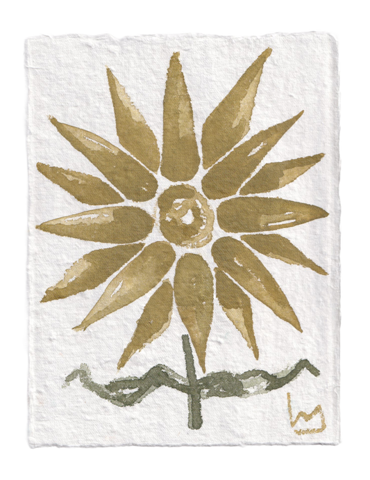 "Colors of Cashiers"