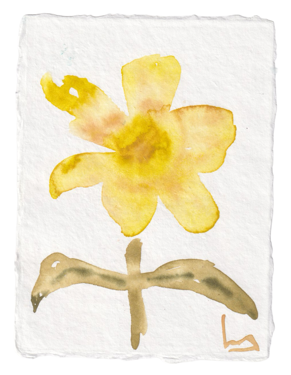 Mellow Yellow • 8" by 6"