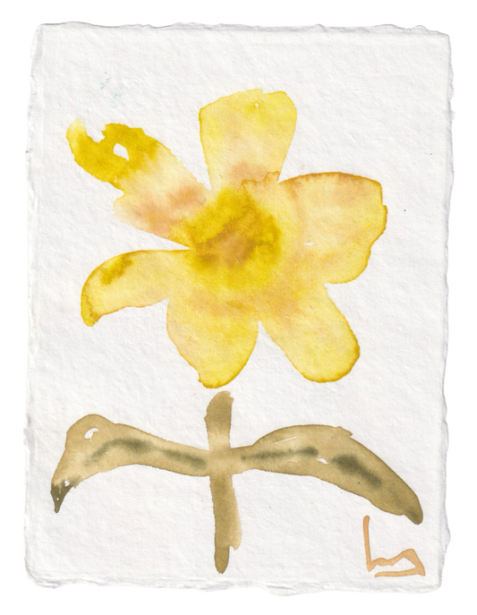Mellow Yellow • 7" by 5"